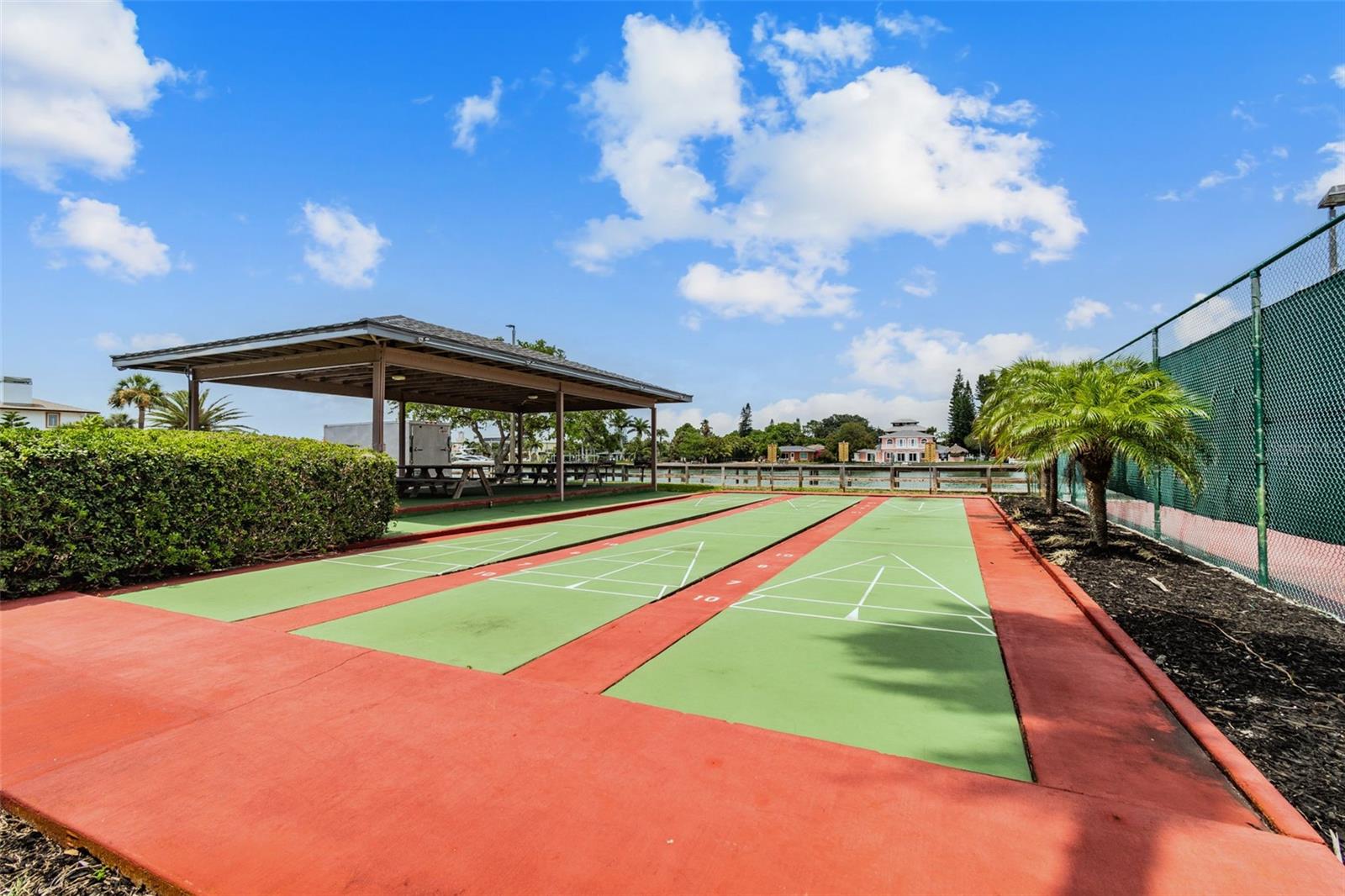 Shuffleboard