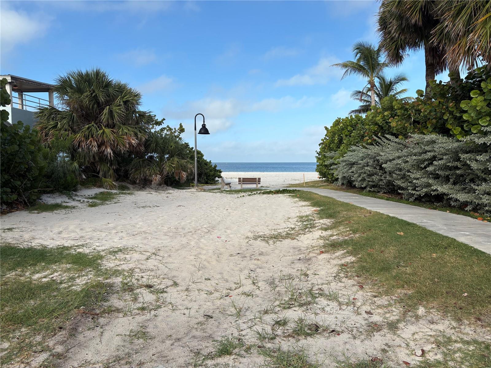 Neighborhood beach.