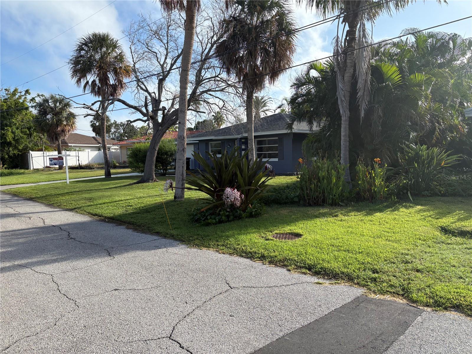 View of neighborhood from front yard.