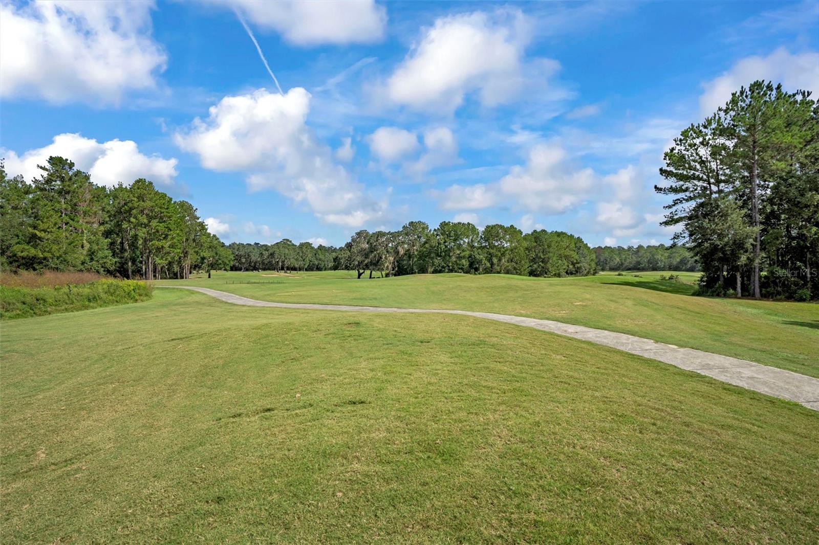 Golf Course Out Back