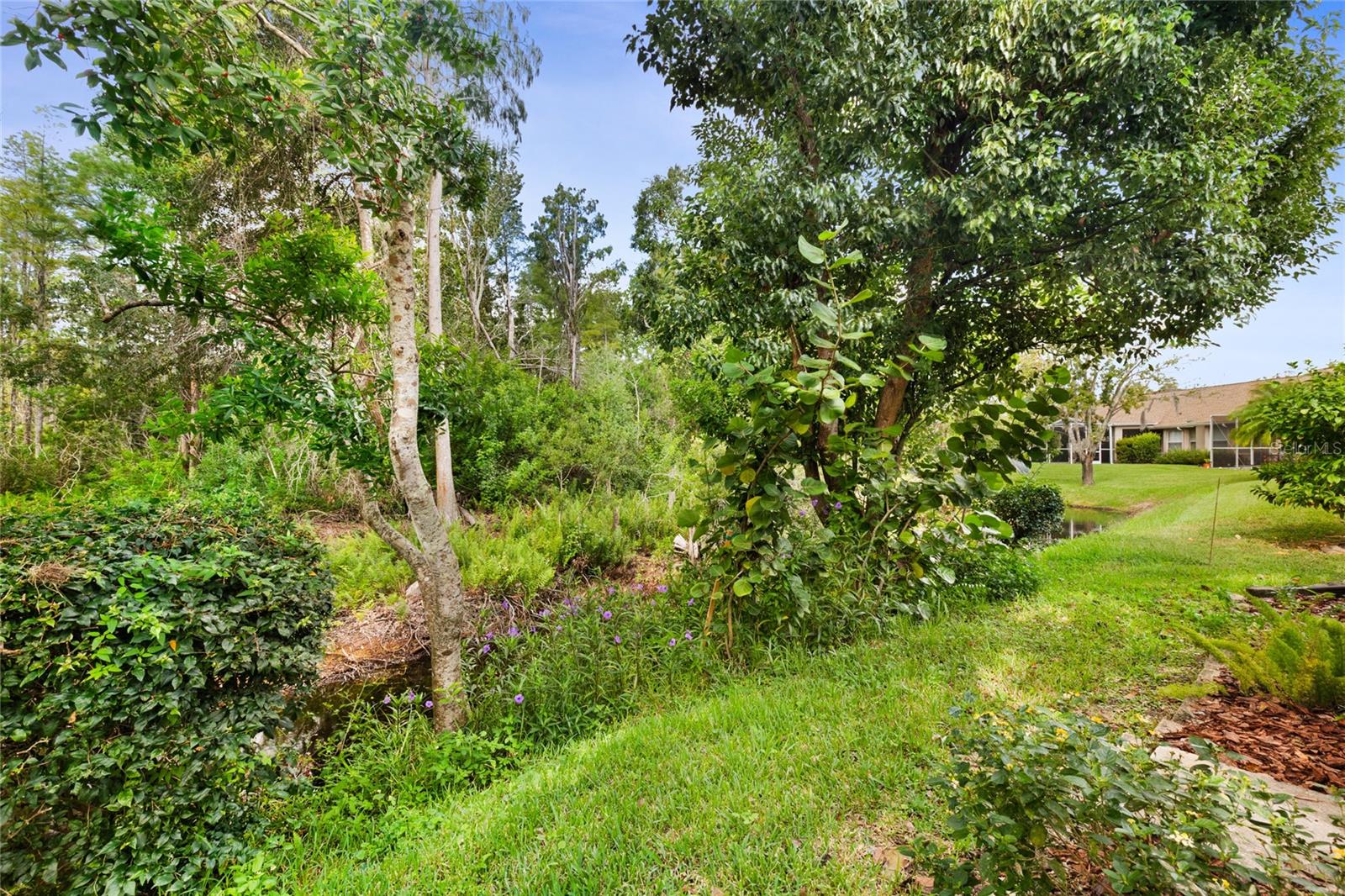 CONSERVATION AREA