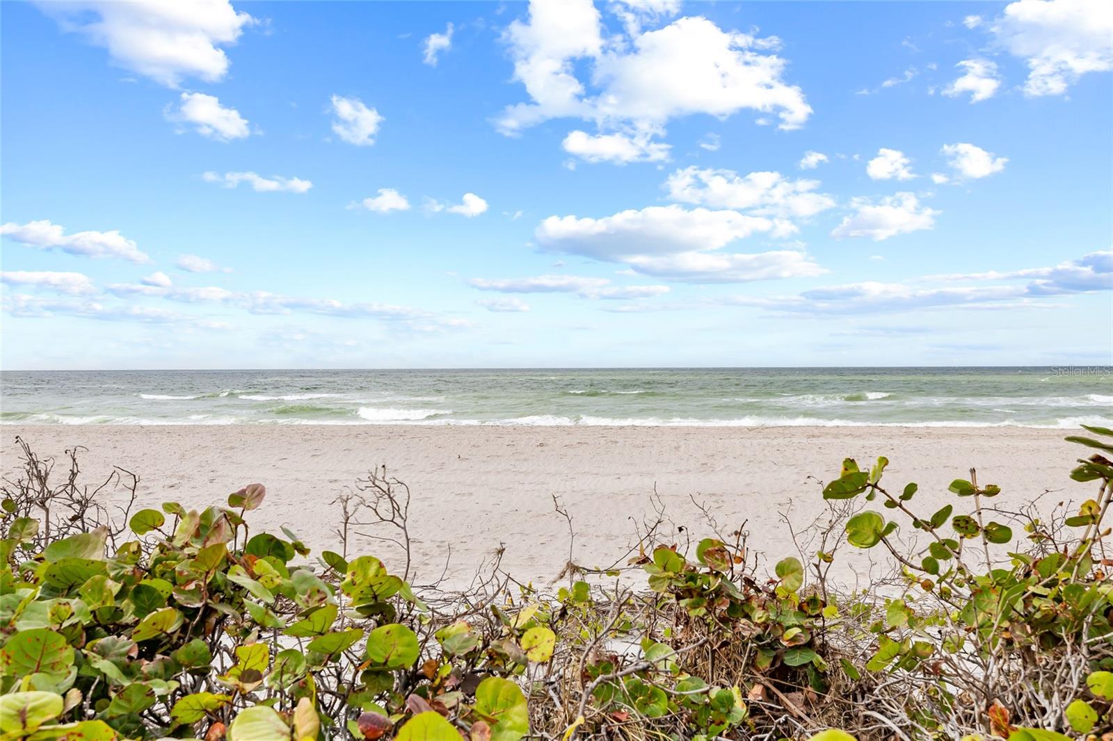 indian Rocks Beach