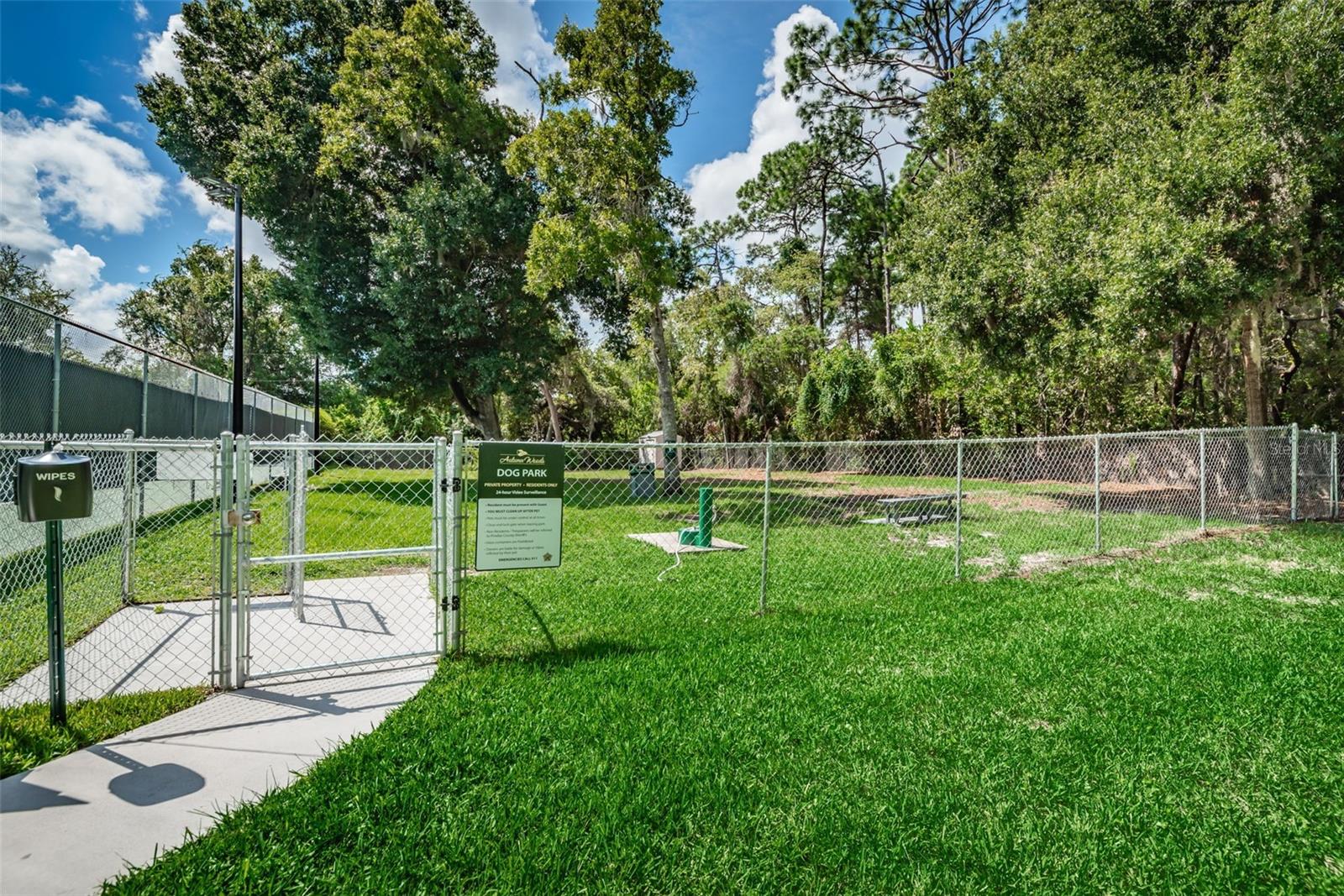 Community Dog Park