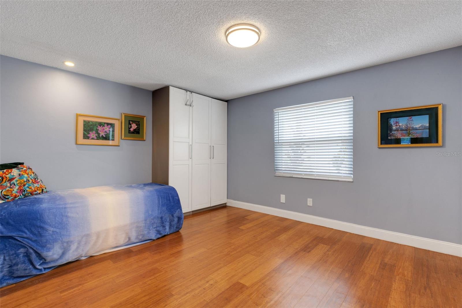 Guest Bedroom with "California Closet"