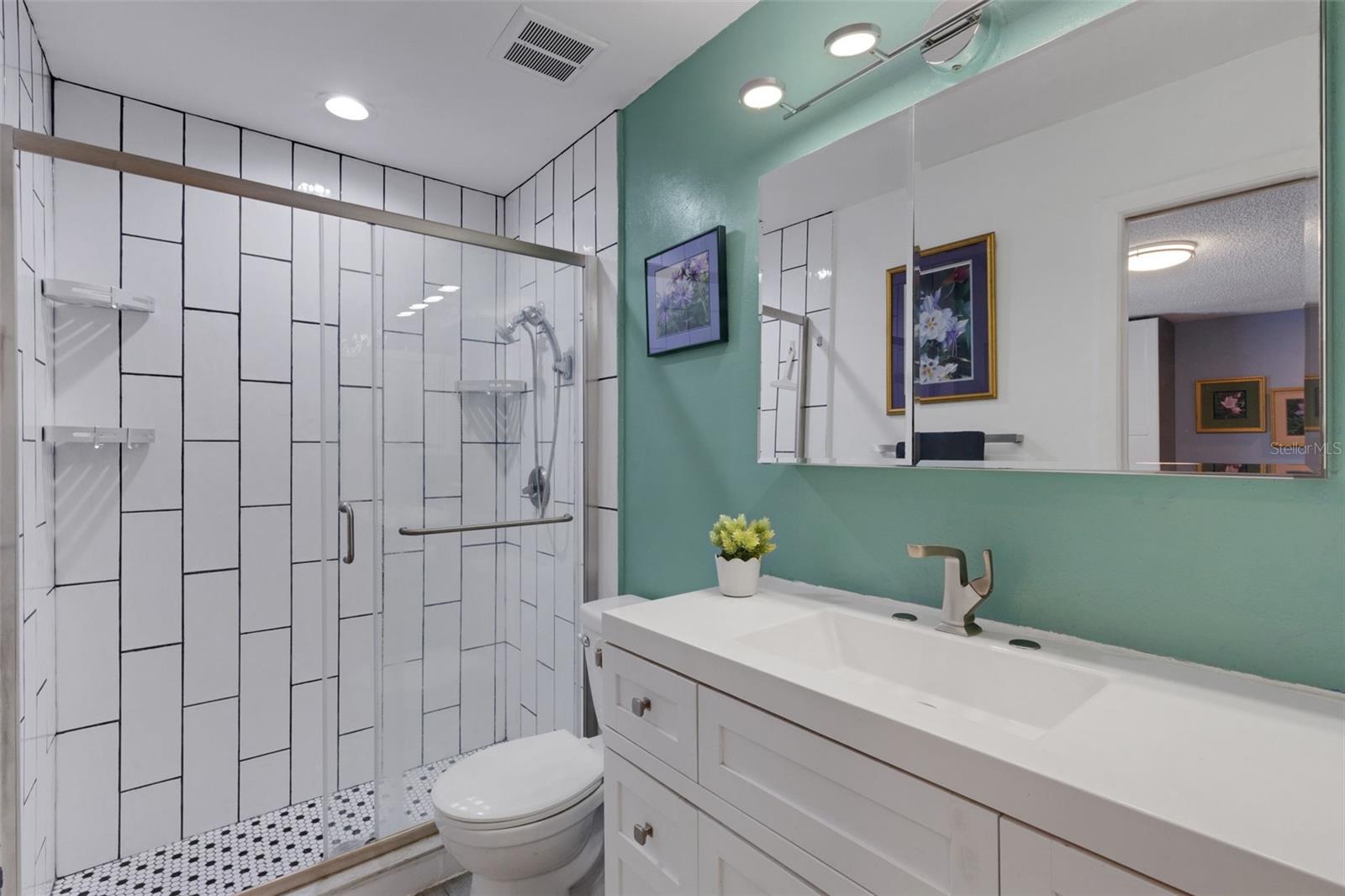 Beautifully updated Guest Bath
