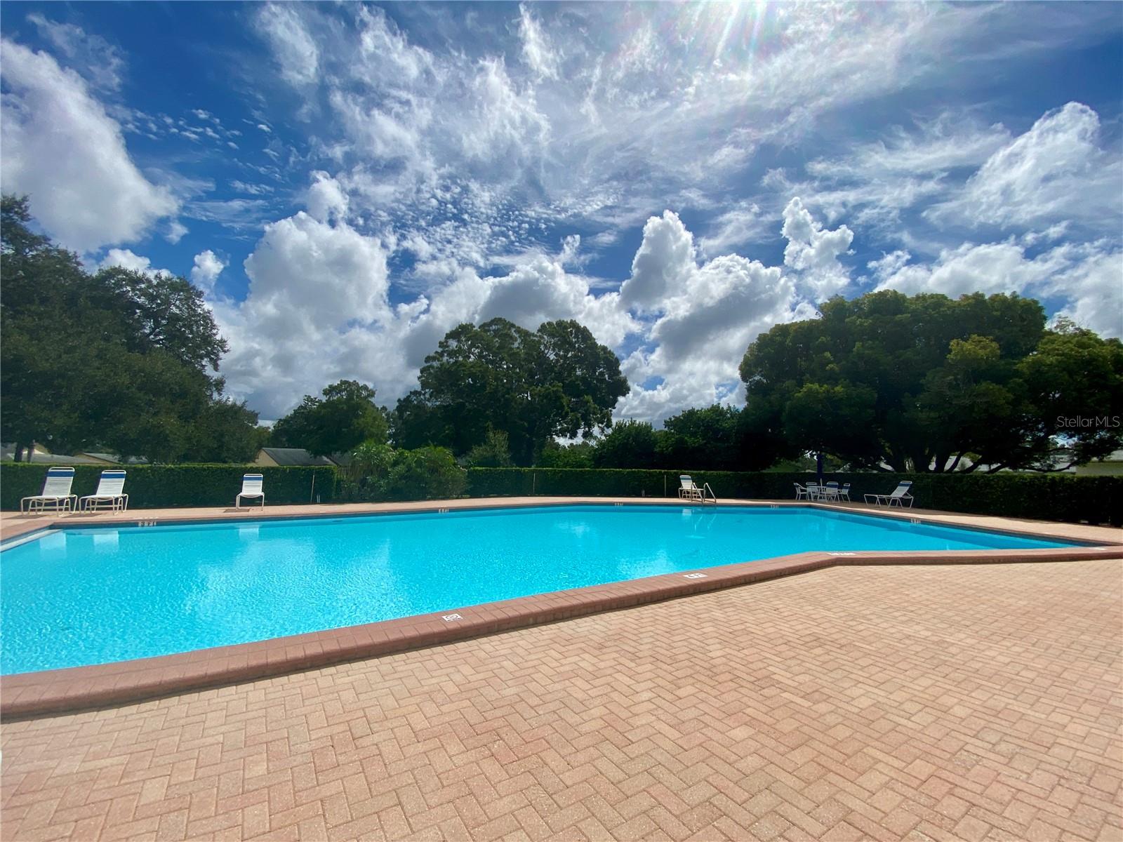 Time for a refreshing dip