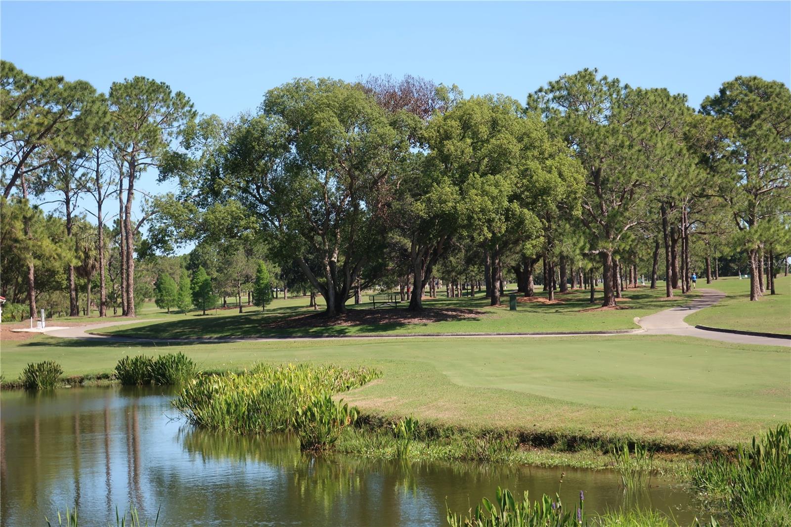 water golf hole