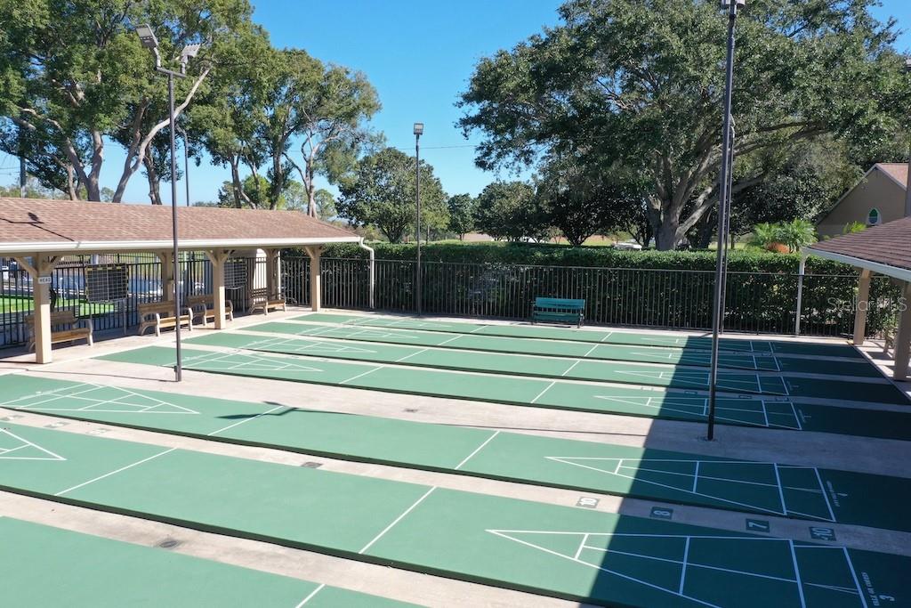 shuffleboard