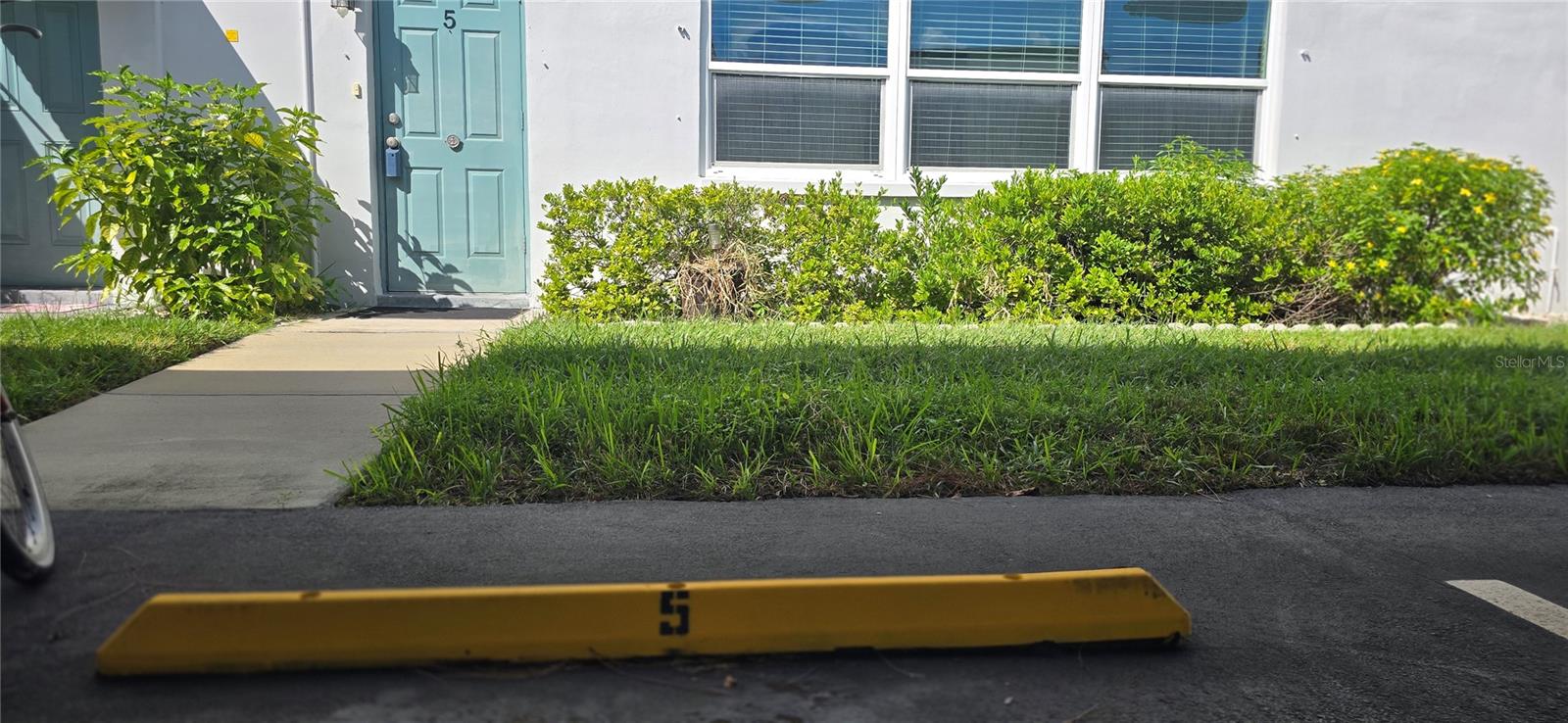Parking steps from the backdoor