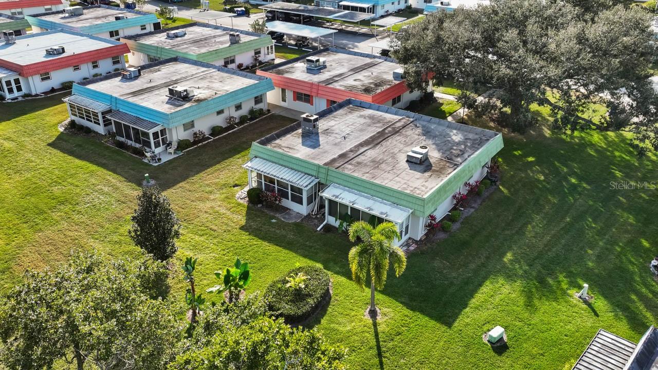 Beautiful mature tree out front & greenery out back