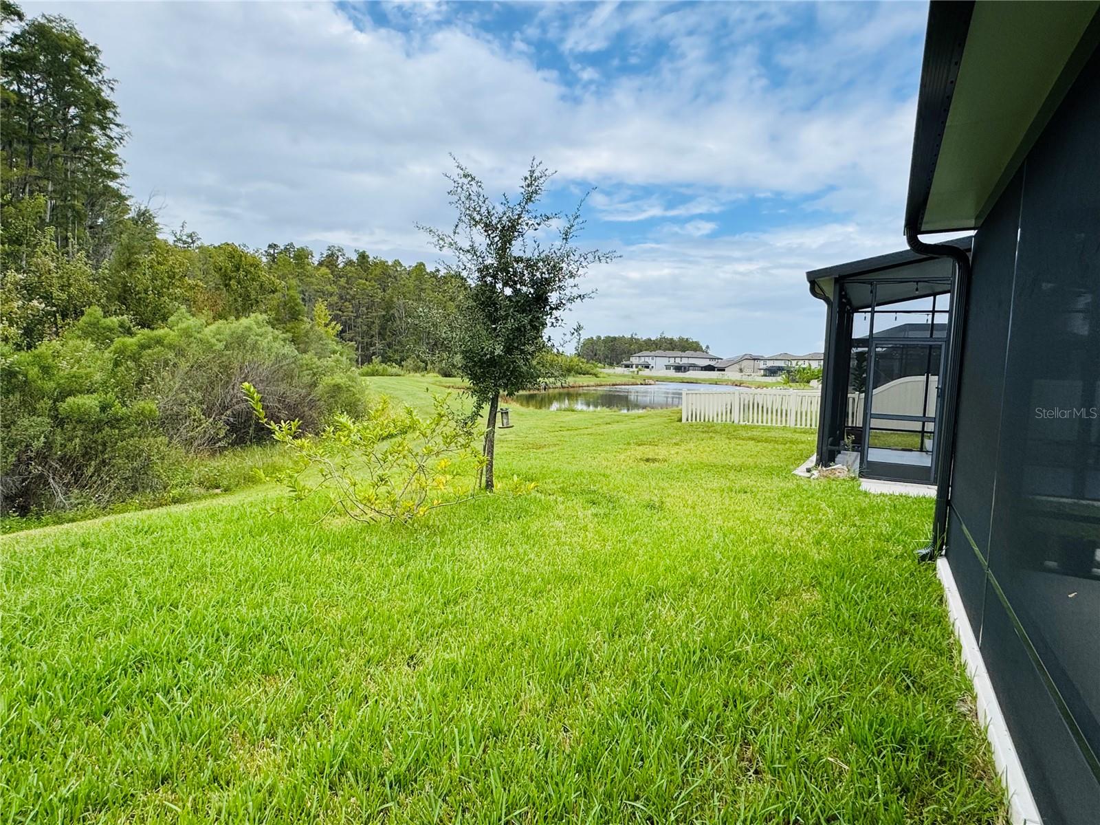 Woods and Pond View