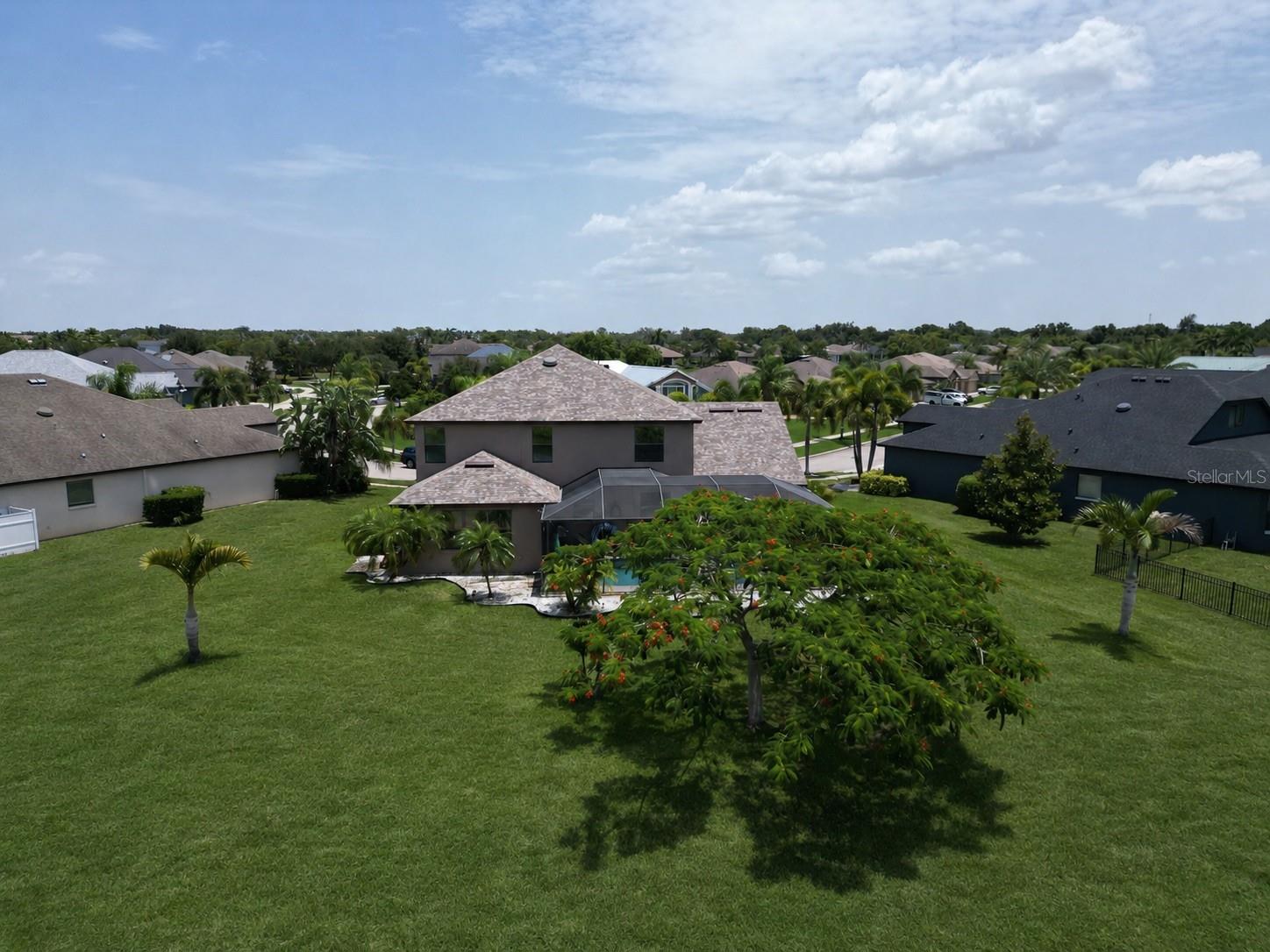 Open and lush backyard.