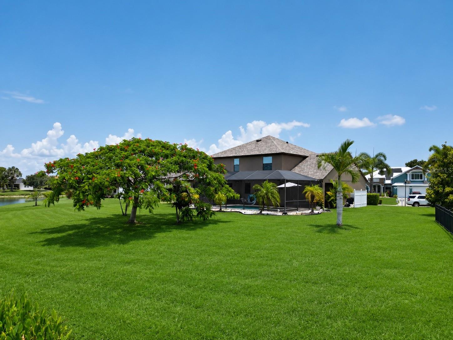 Open and lush backyard.