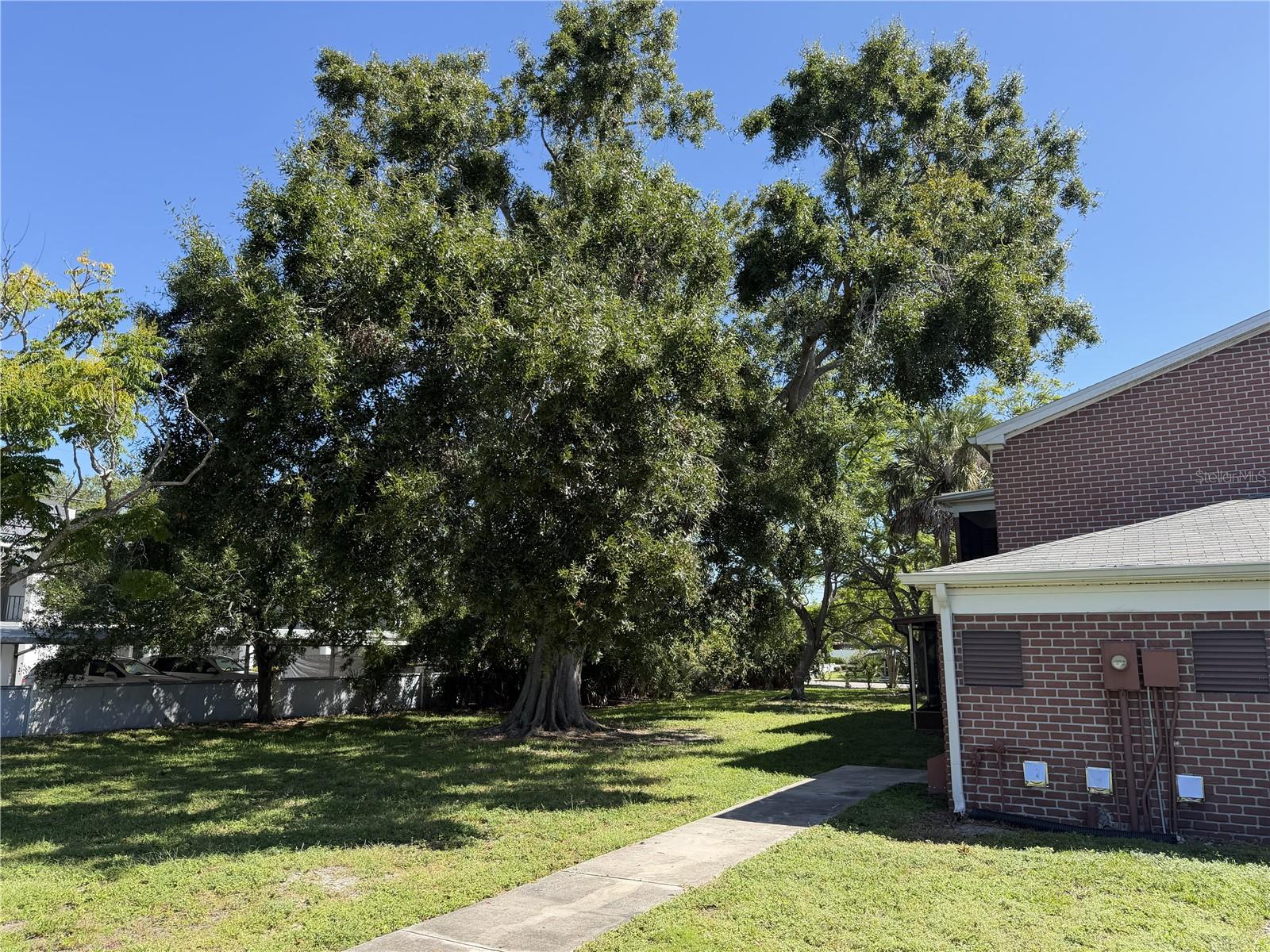 Community Walkway