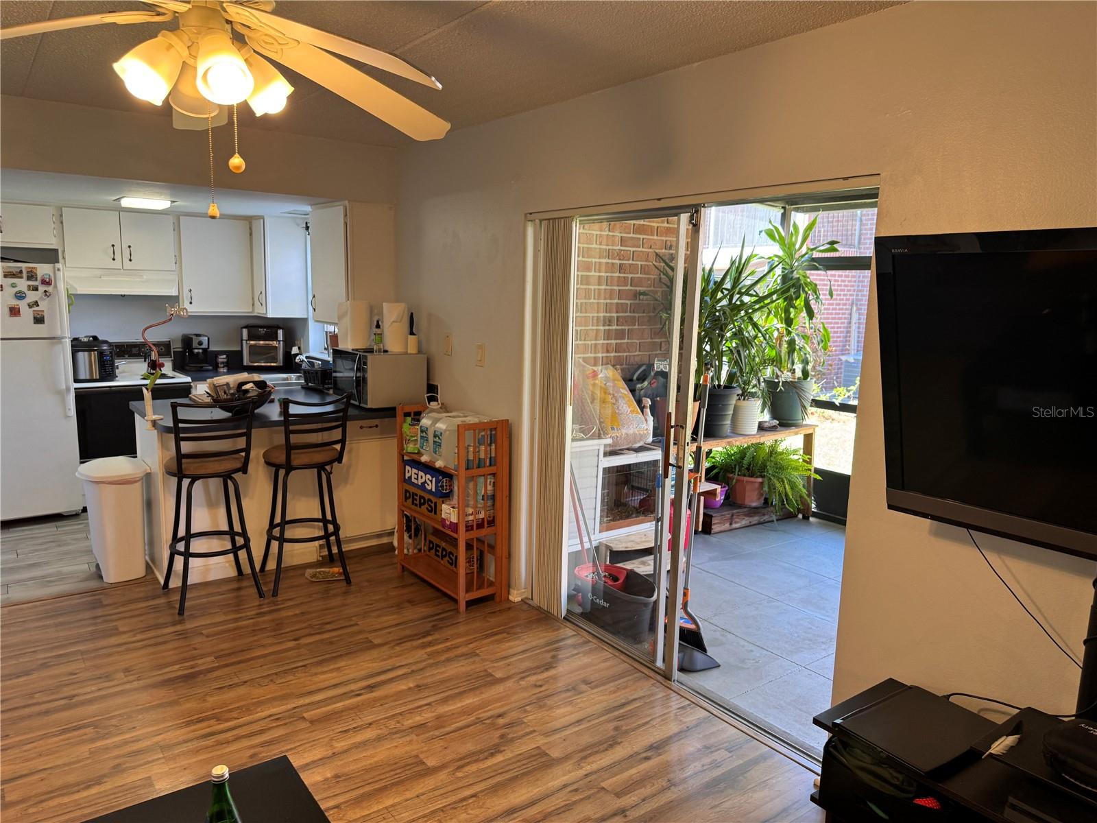 Living & Kitchen Area
