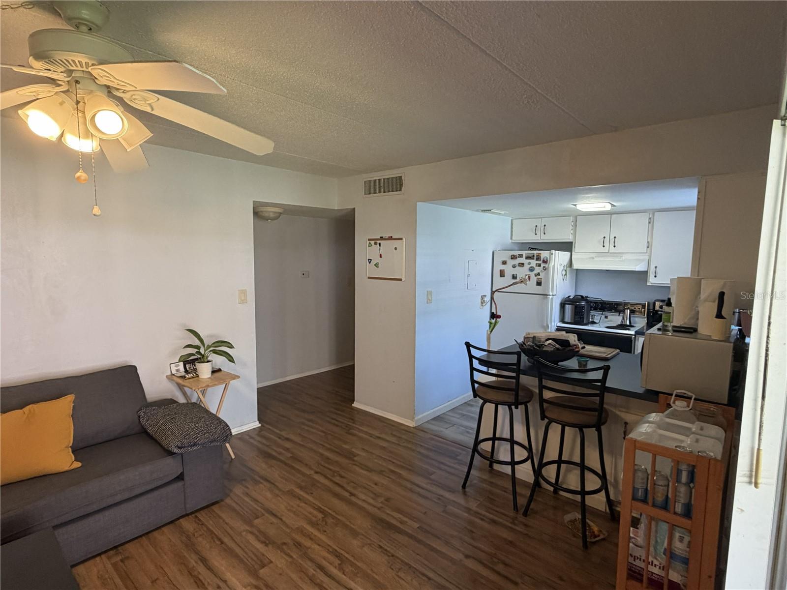 Living & Kitchen Area