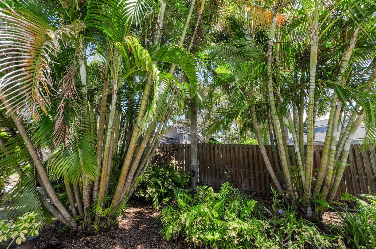 Great landscaping and privacy.  Single family homes are behind the fence