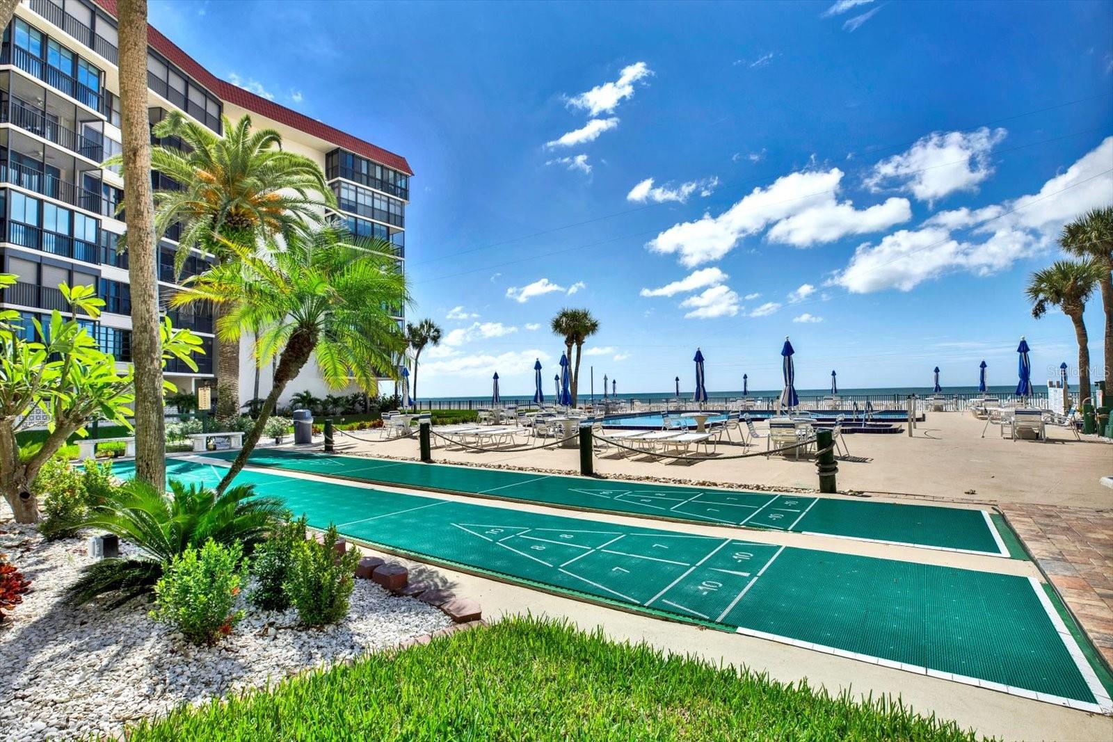 Community Shuffleboard Court