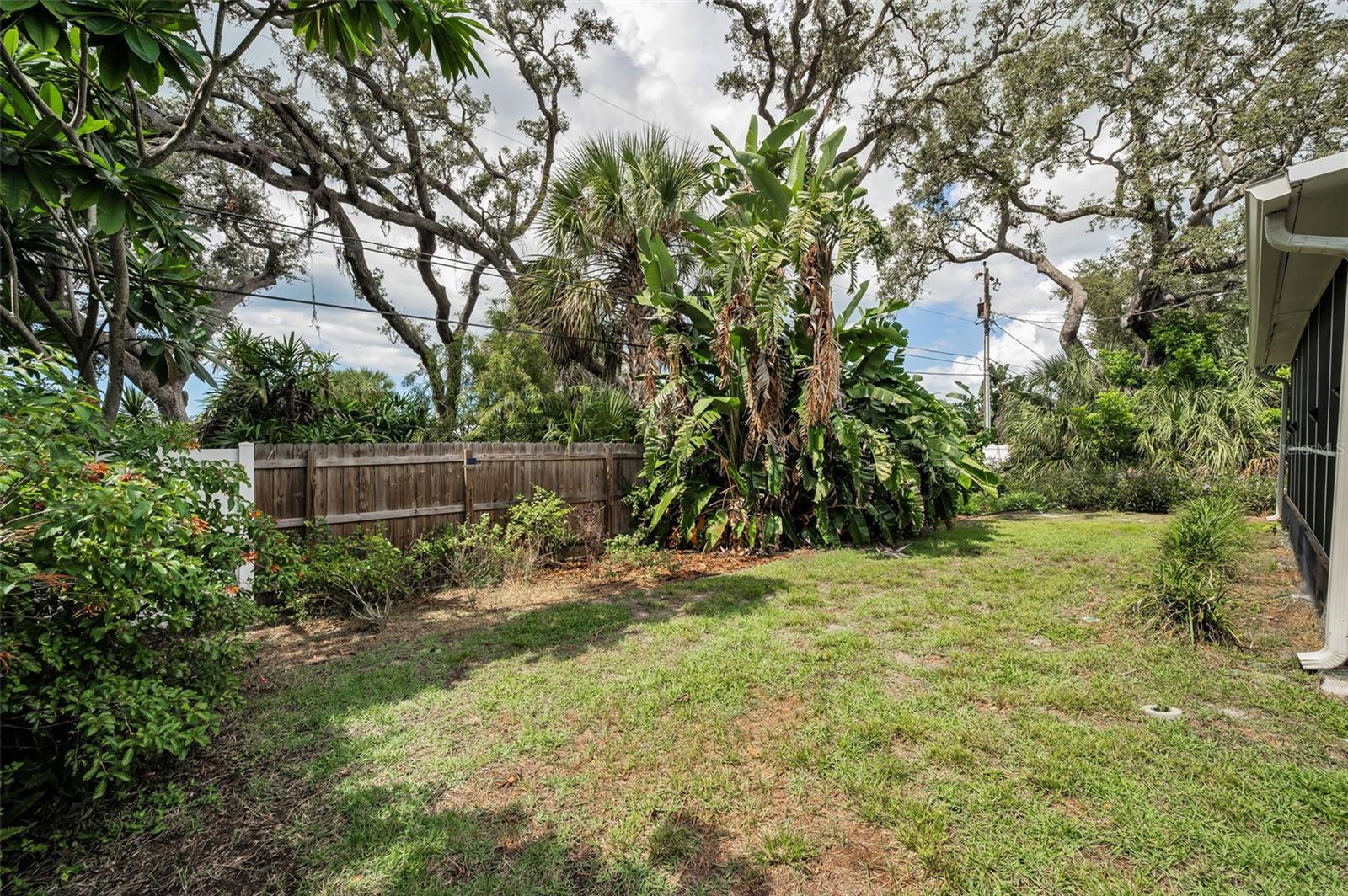 The tree-shaded backyard offers a quiet escape