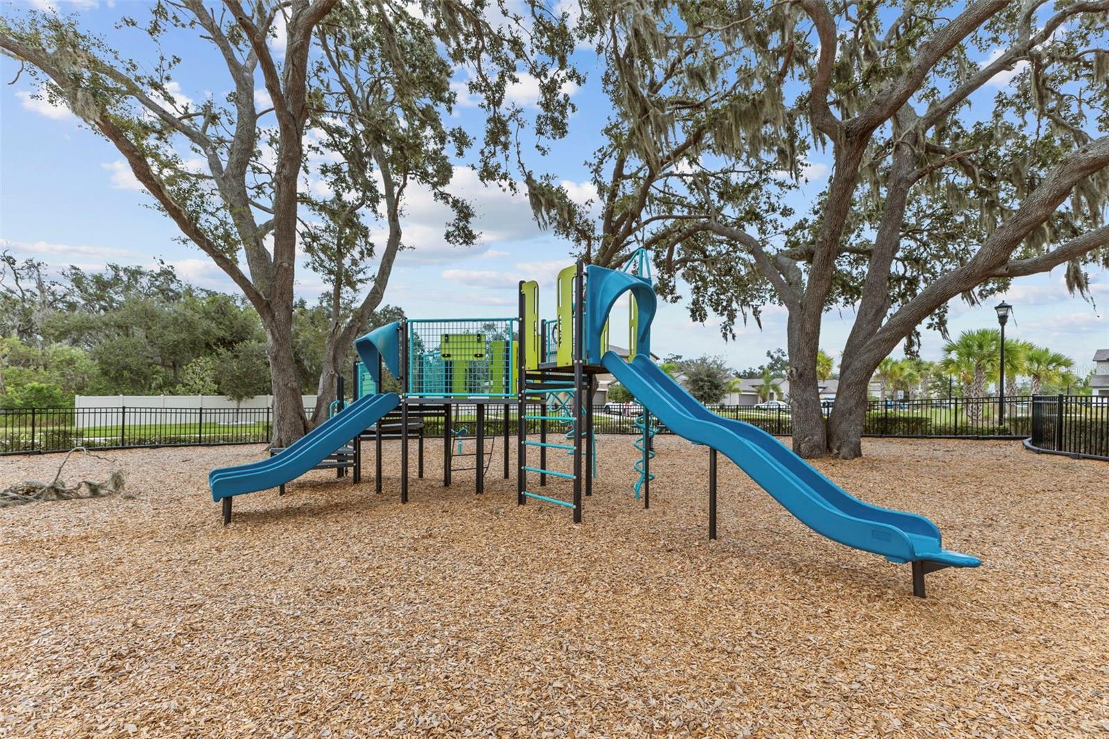 Community Park
