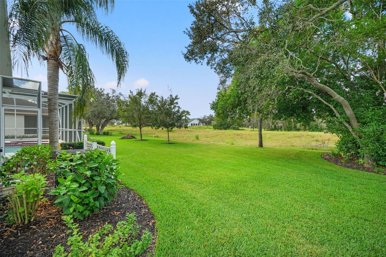 Beautiful Backyard