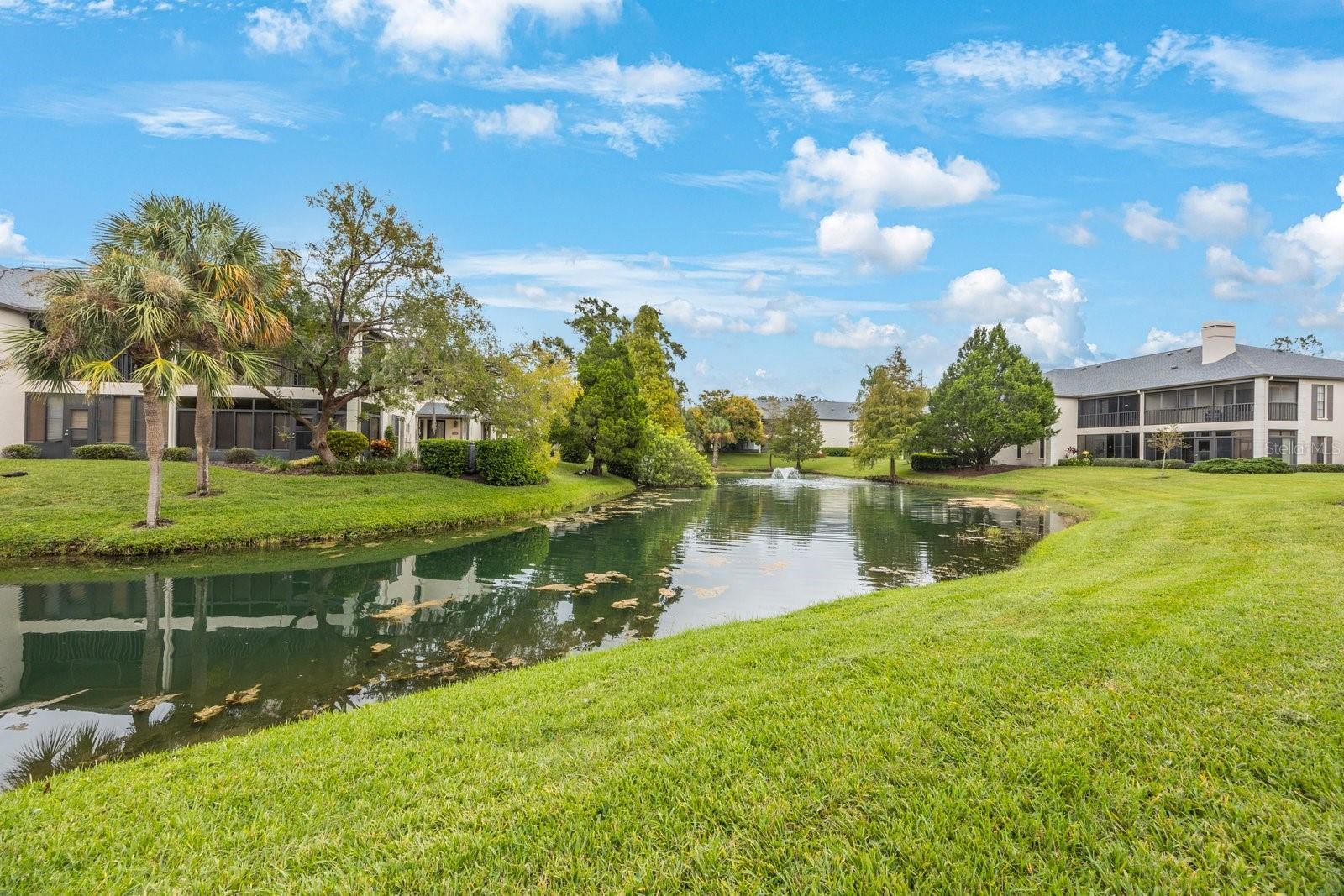 Pond View