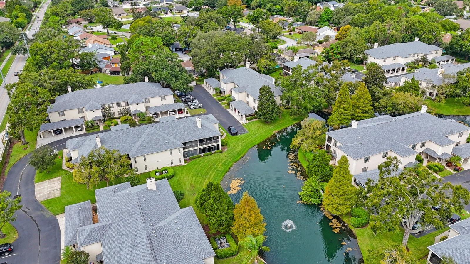 Overhead View