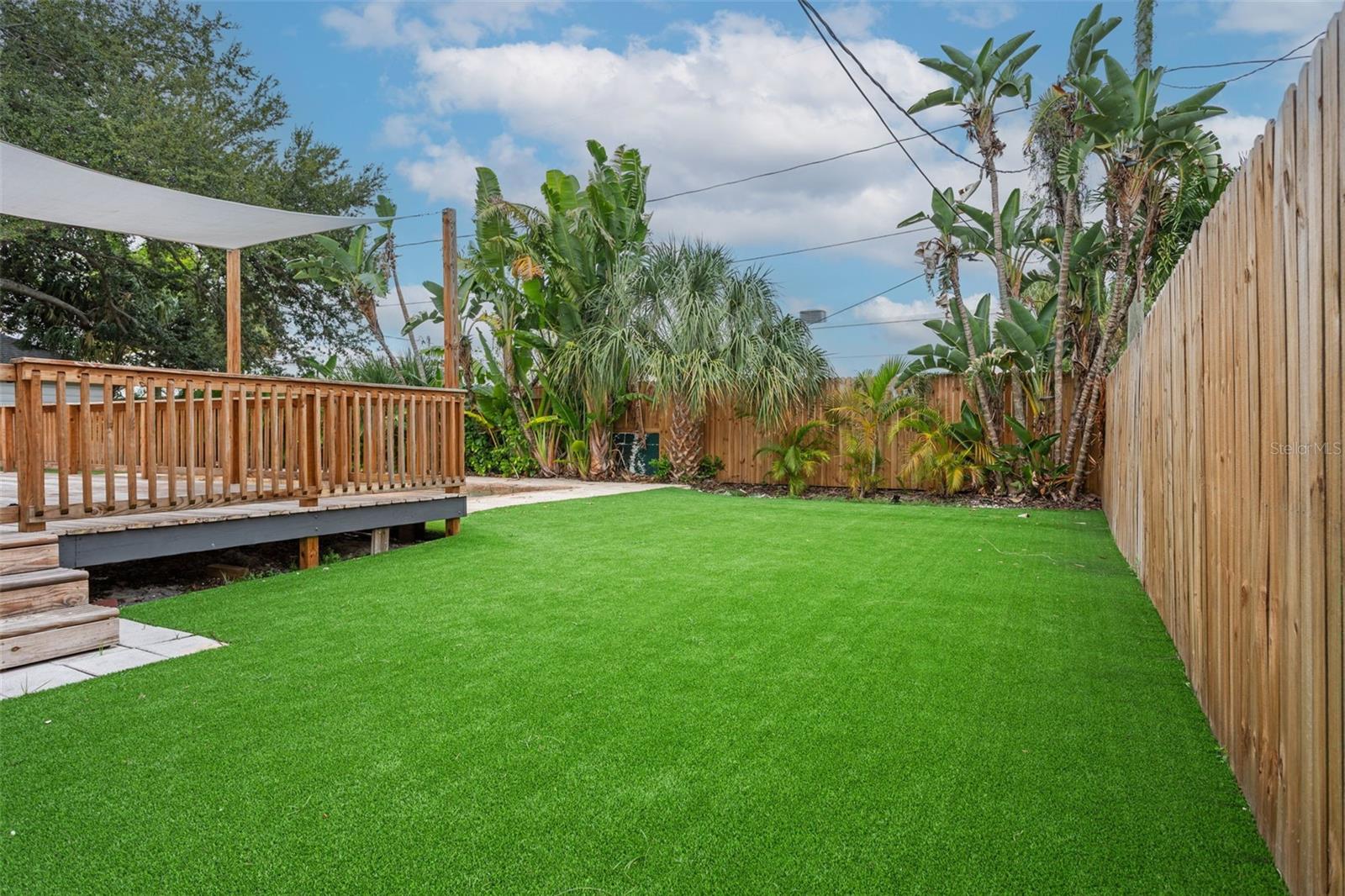 back yard