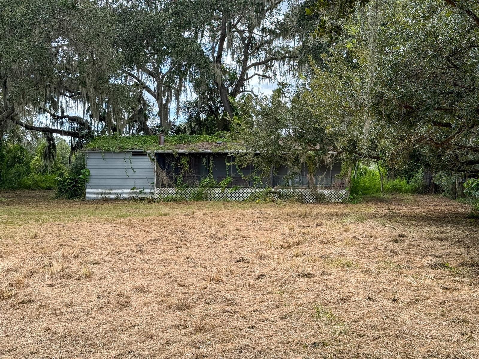 TB8436038