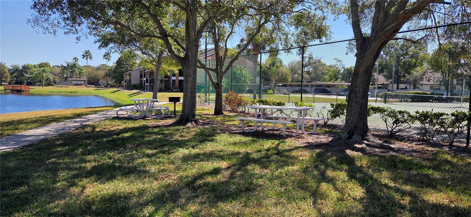 Picnic tables by tennis court
