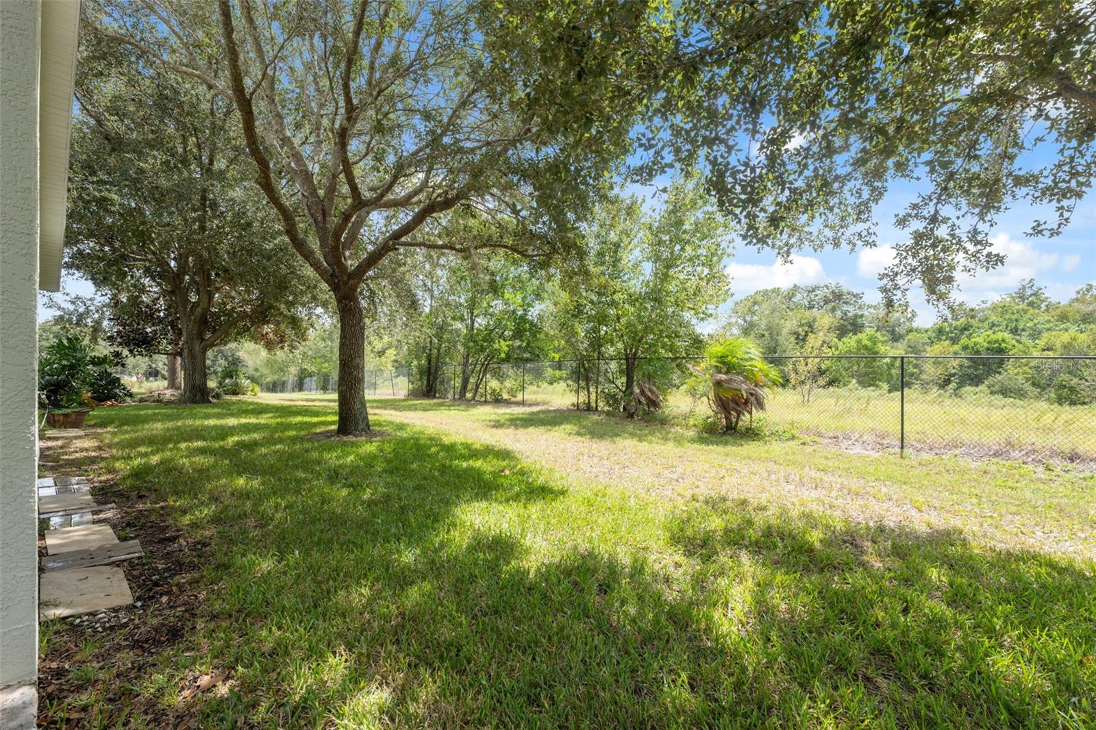 Rear Yard