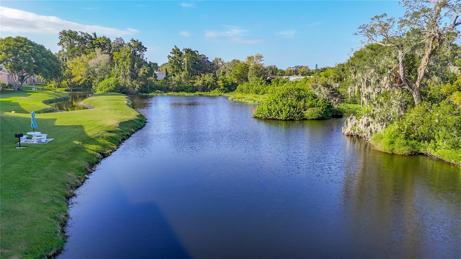 Pond behind Building 3