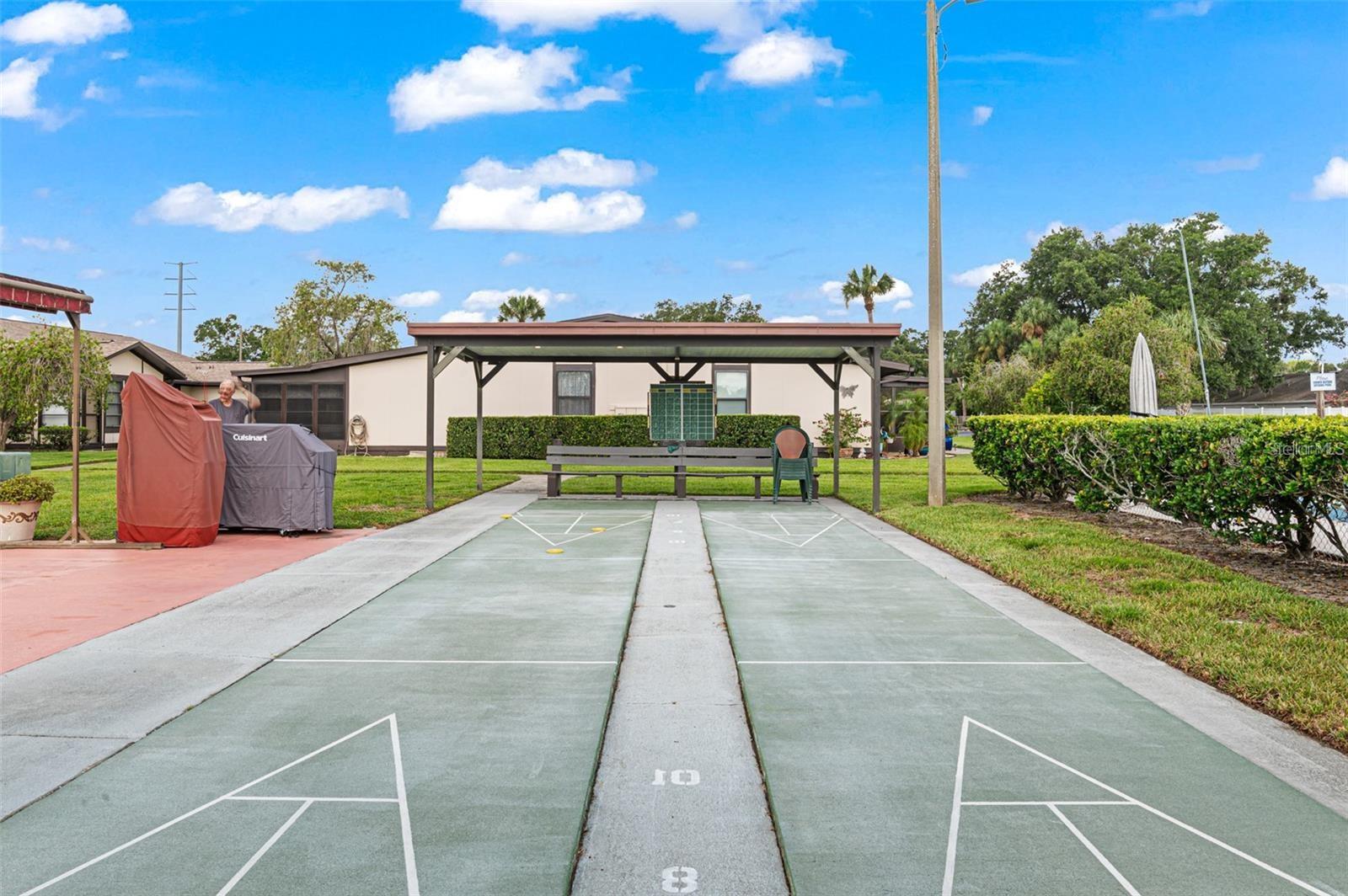 Community Shuffleboard