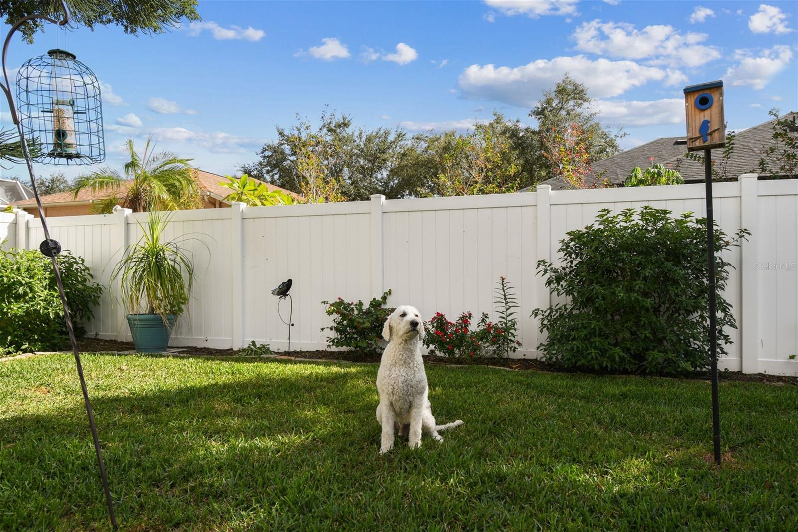 Dog is not included in the sale but wanted to be in the pictures!