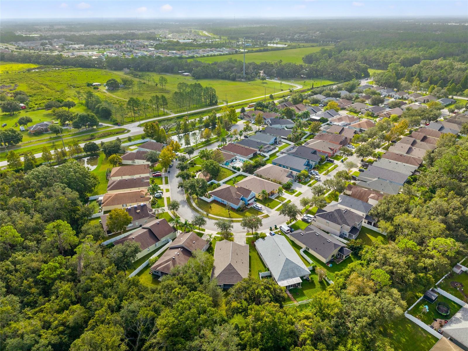 Aerial View of Bluff Meadow