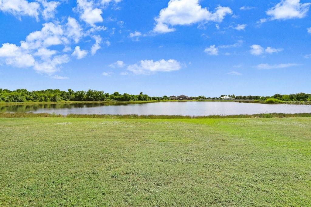 Large backyard & pond!