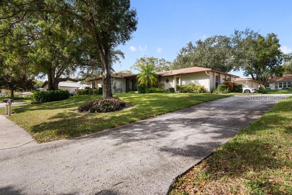 Driveway View