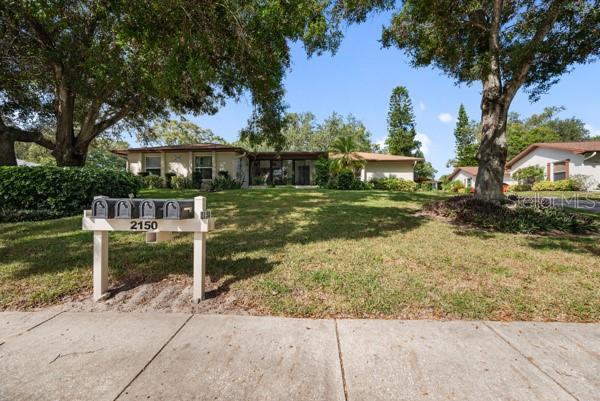 Front Yard View
