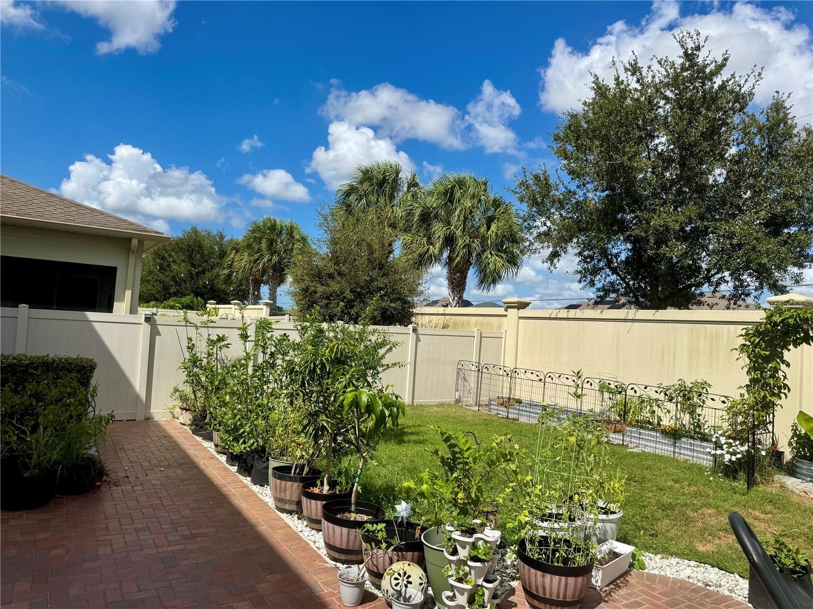 back patio and yard