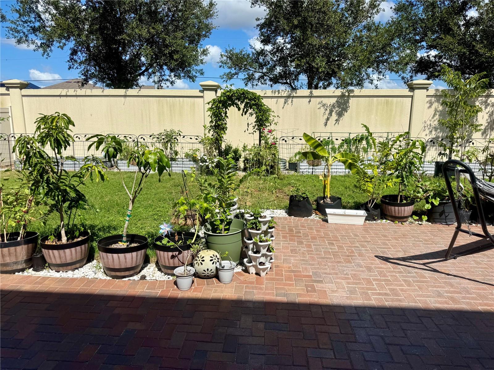 back patio and yard