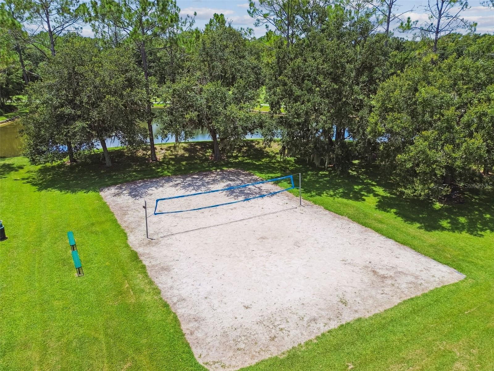 Volleyball court