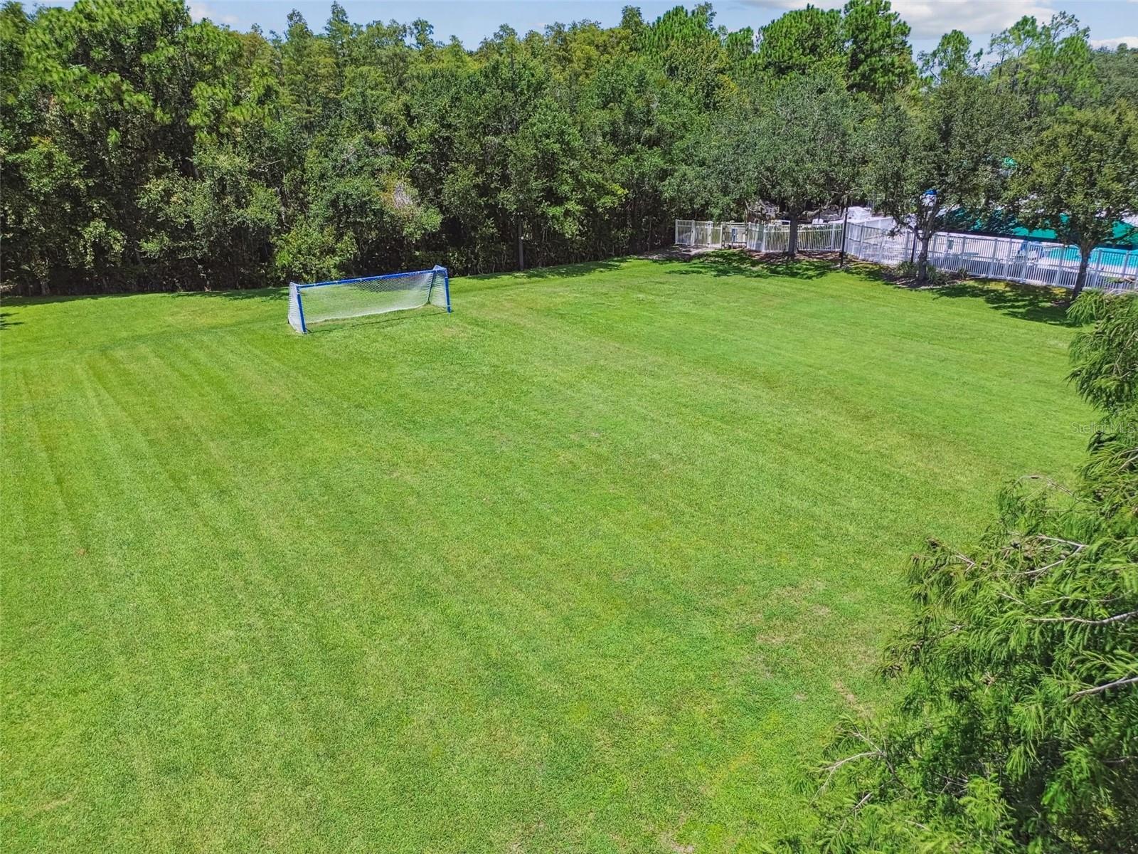 Soccer field