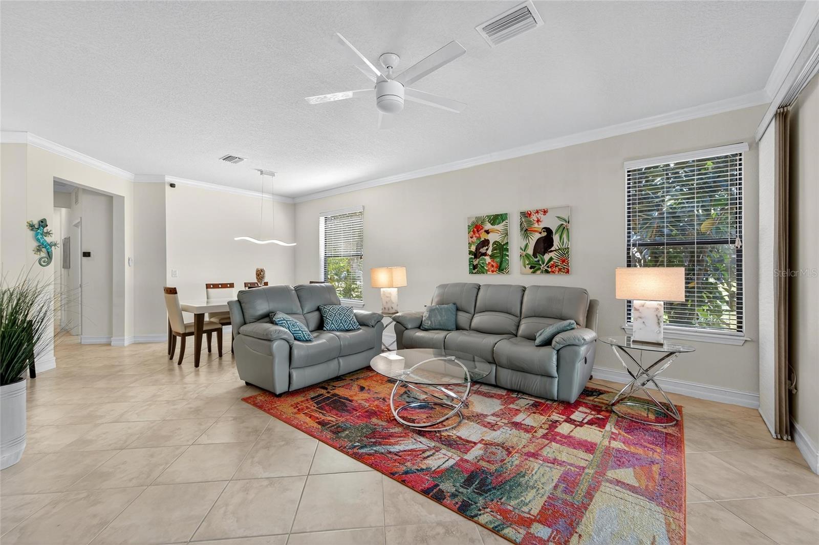 Living Room View