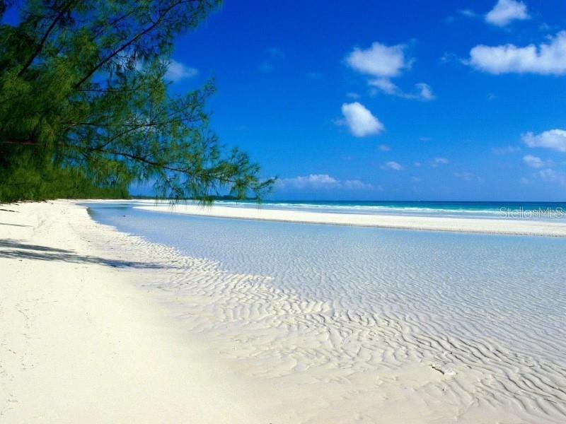 White Sand Gulf Beaches