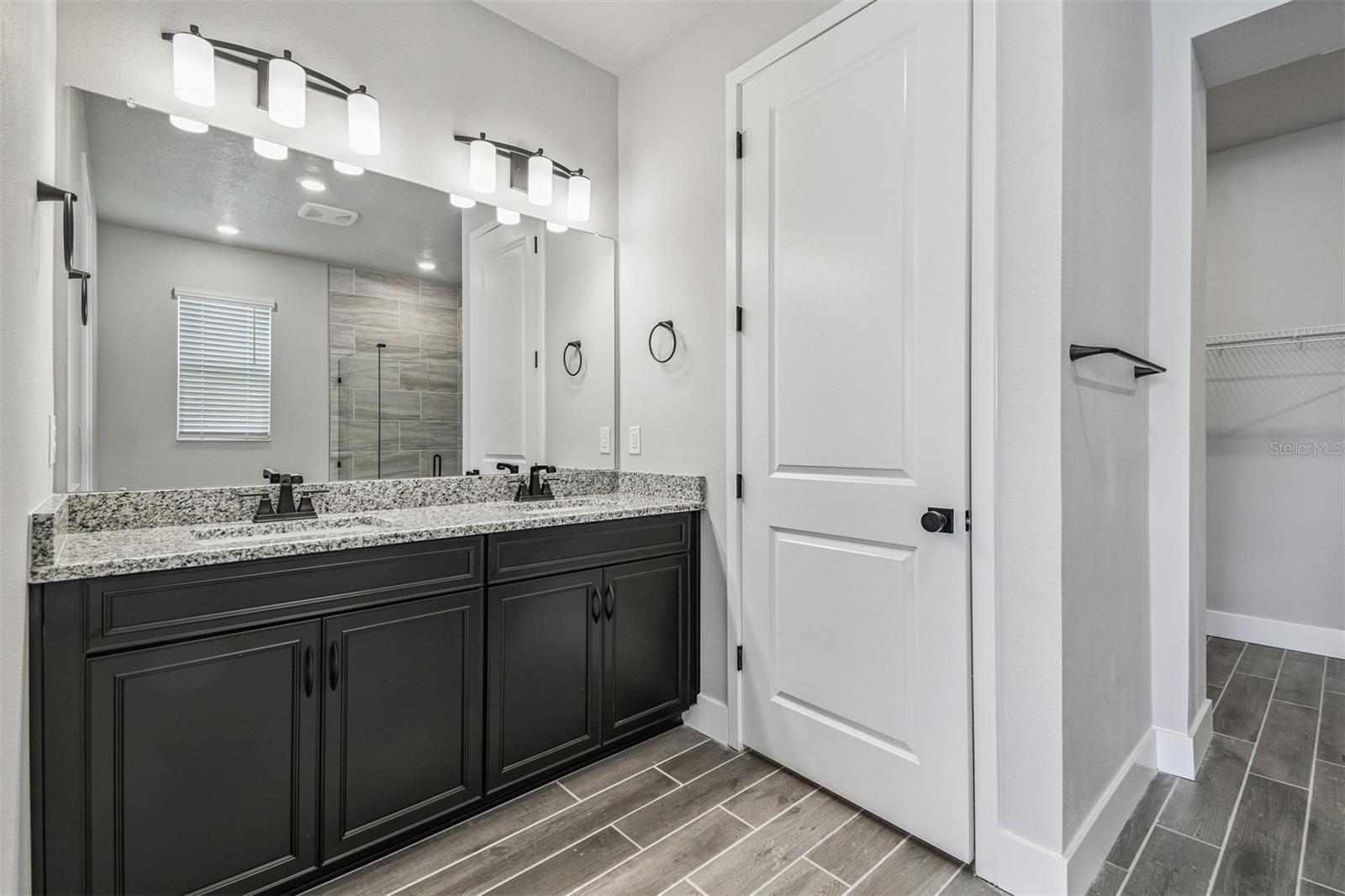 Owner's Bath