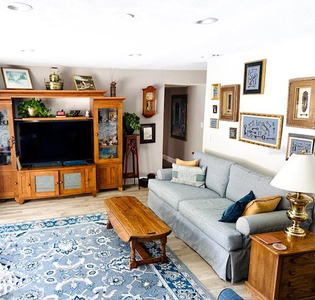 Living Room Alternate View