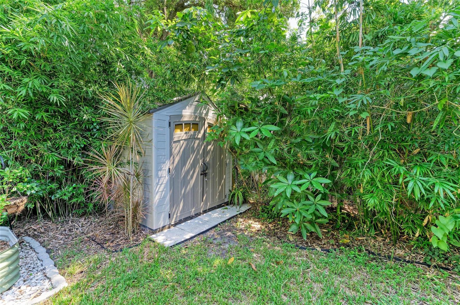 Storage shed hidden in backyard corner