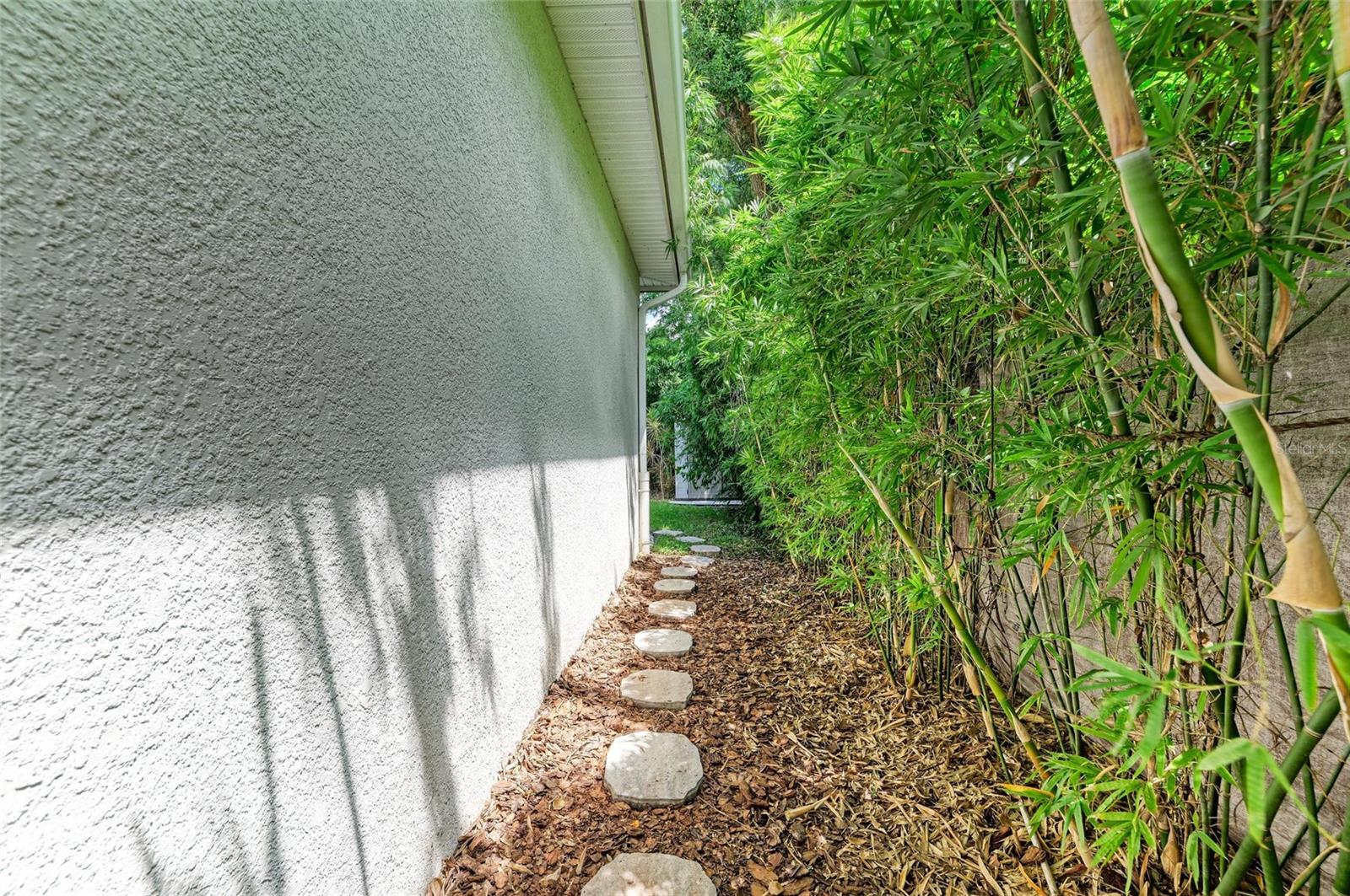 Side path to backyard