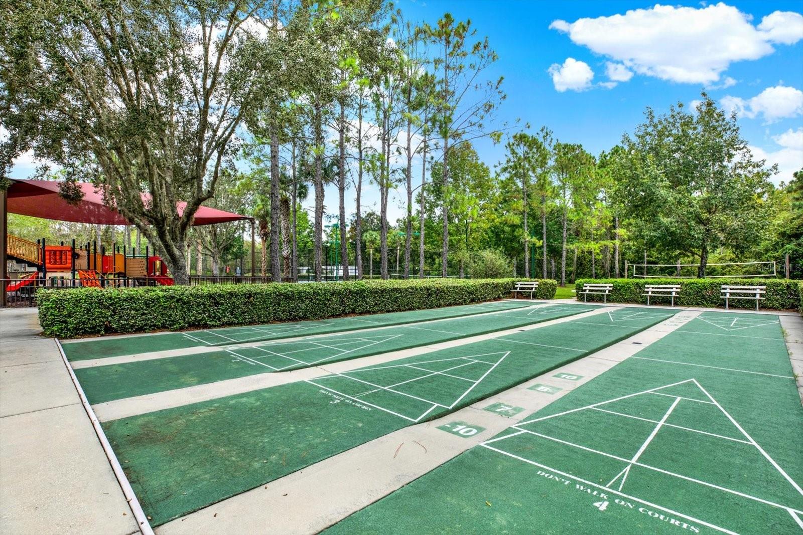 Shuffleboard