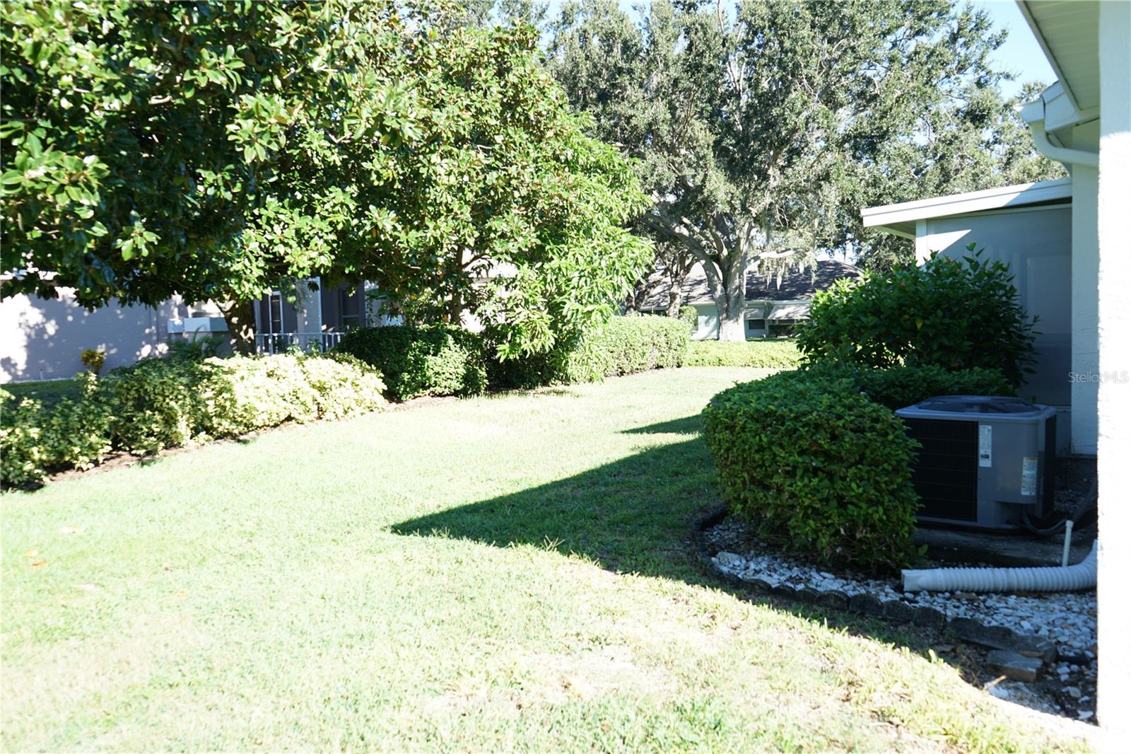 back yard